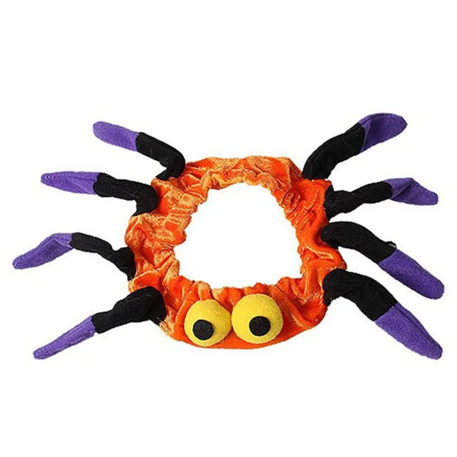 Funny Cat Halloween Spider  Collar