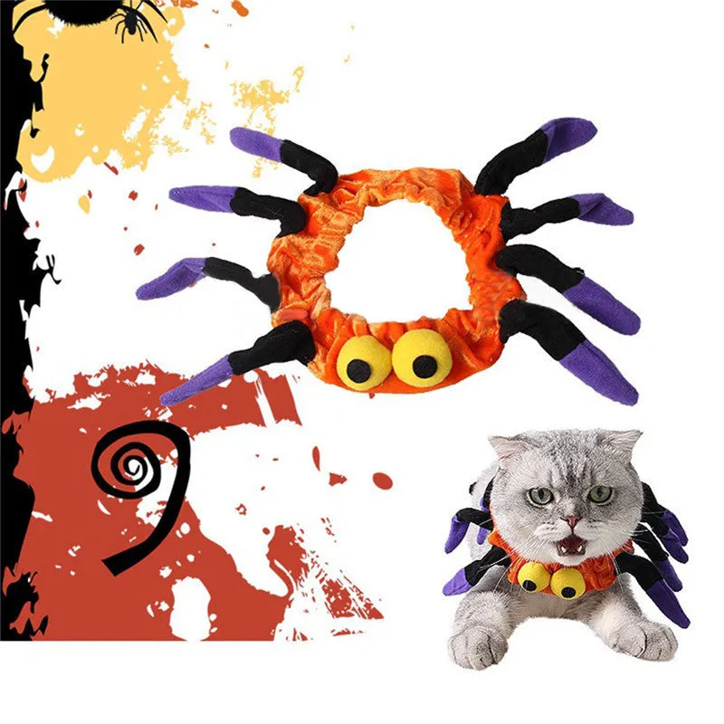 Funny Cat Halloween Spider  Collar
