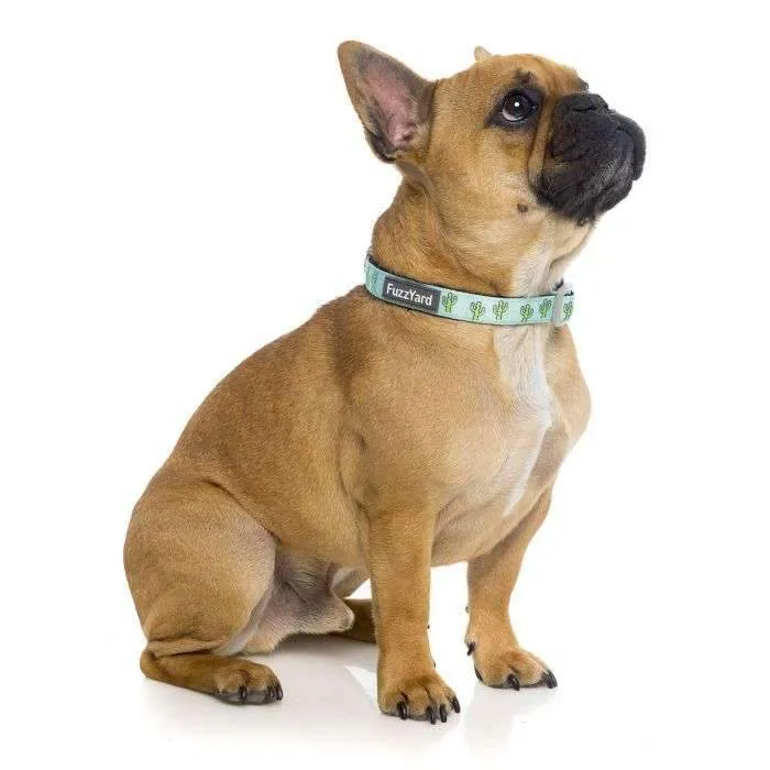 The Dog Collar By FuzzYard - Tuscon